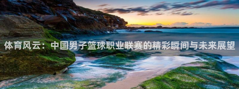 体育风云：中国男子篮球职业联赛的精彩瞬间与未来展望